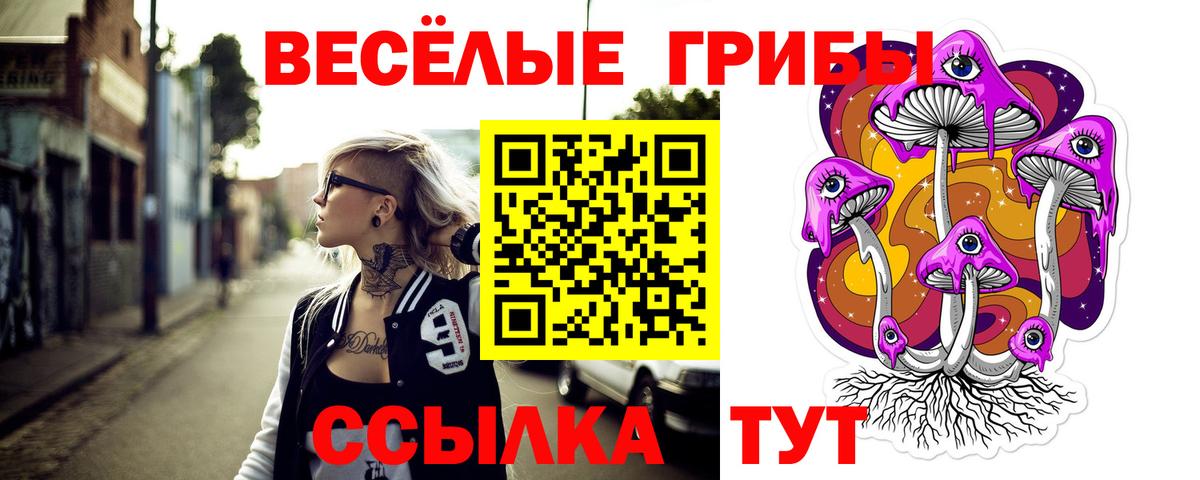 Псилоцибиновые грибы мицелий Люберцы